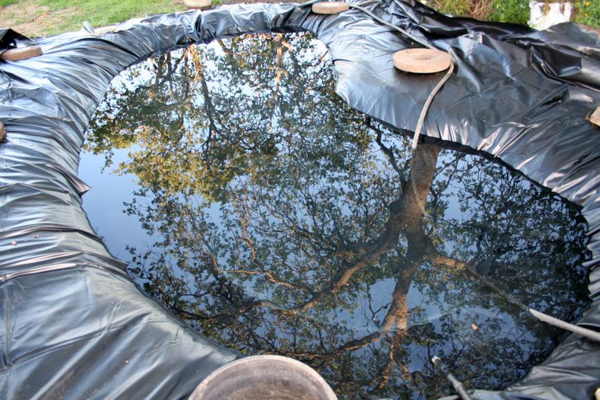Reflectingpond