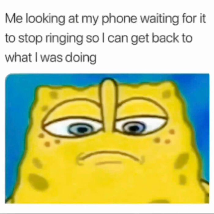 Relatable funny memes 28 63281fda93e4c  700