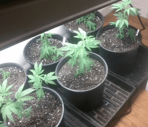 Repot72617