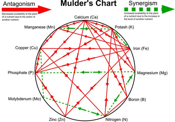 Resourcesmulders chart