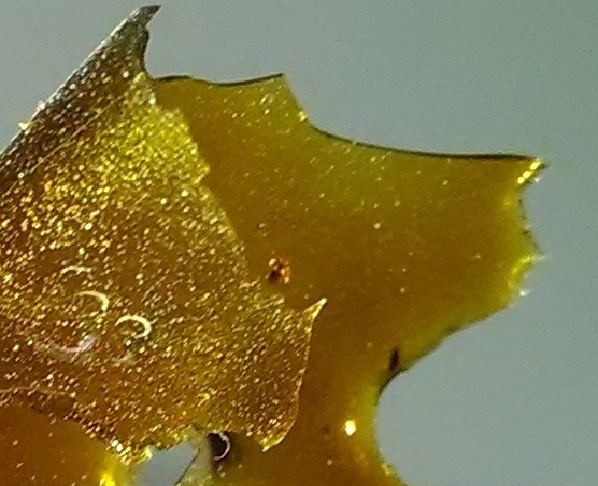 Retrivershatter