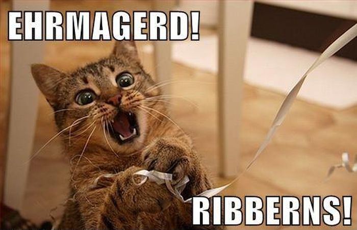 Ribbons cat meme