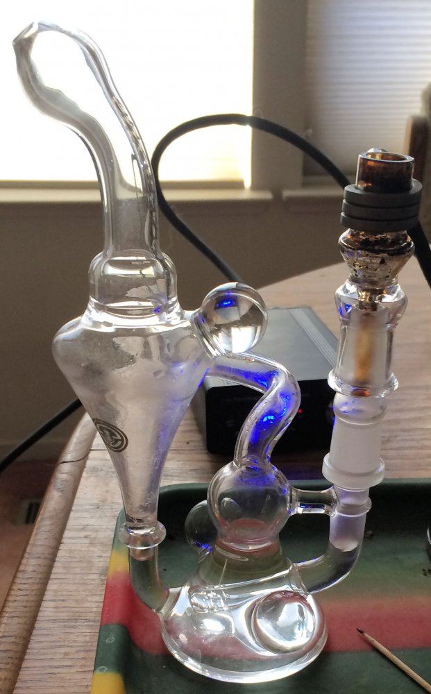 Rig Guest