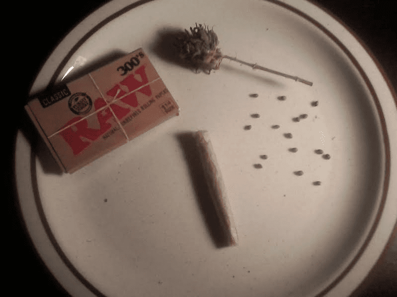 Rmhxqxc9952317