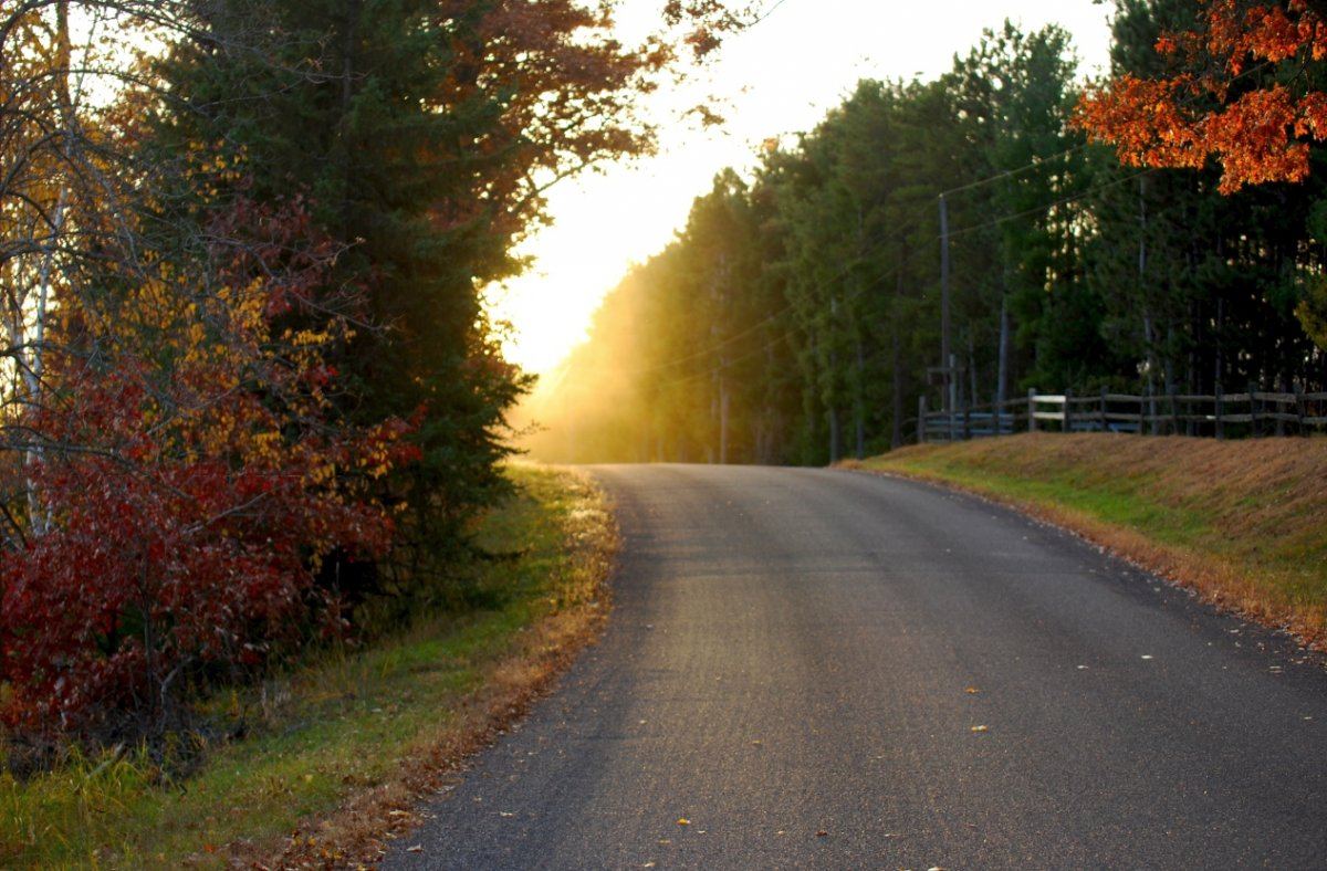 Road 1