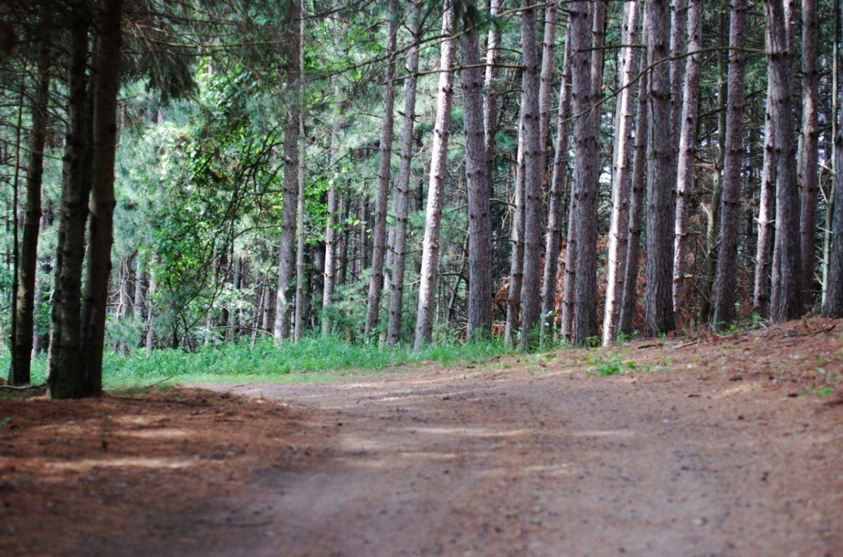 Road 66
