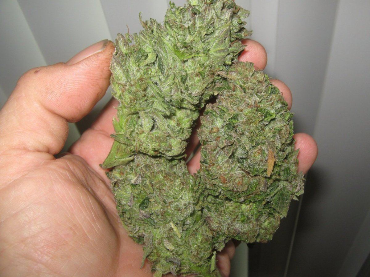 Rockcandycolas512