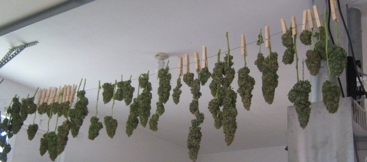 Rockcandyhanging10 2