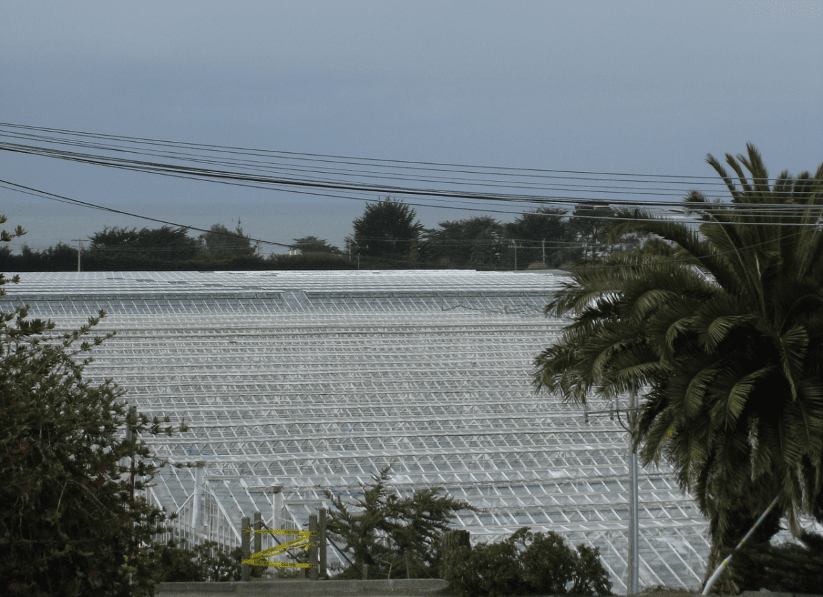 Rocket Farms Inc01