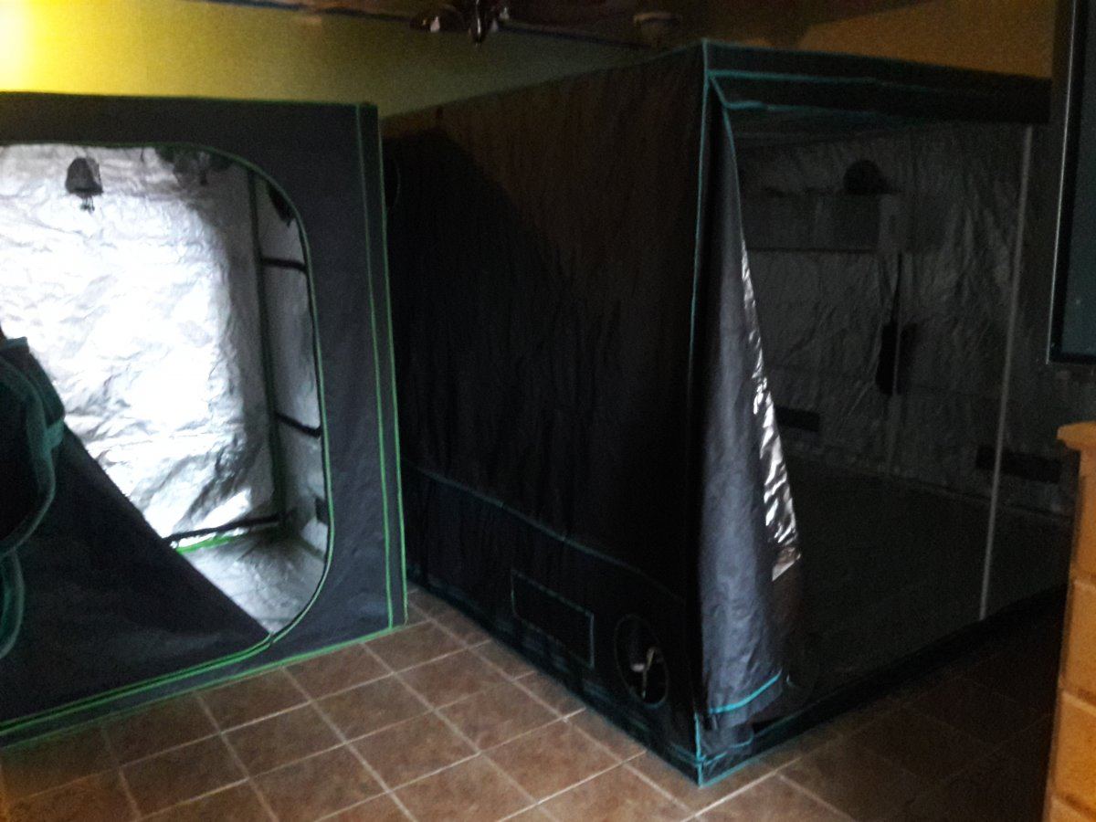 Rookie looking for 10x10  grow tent advice