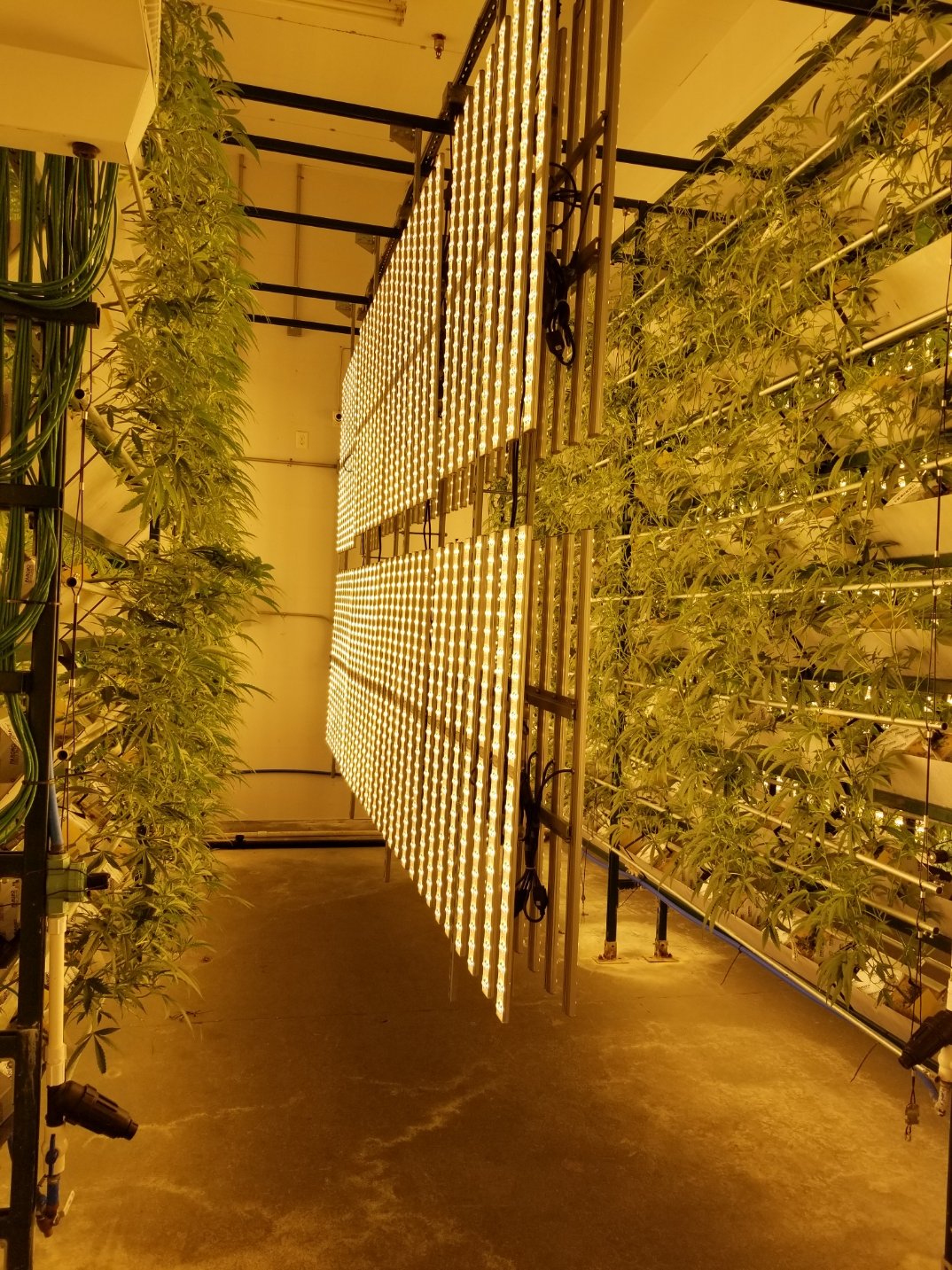 Room 1 about 1 week in