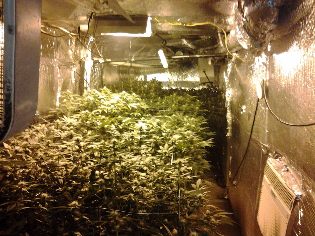 Room shot day 24