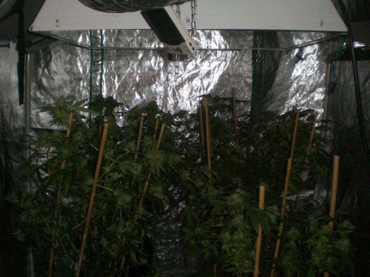 ROOM SHOT