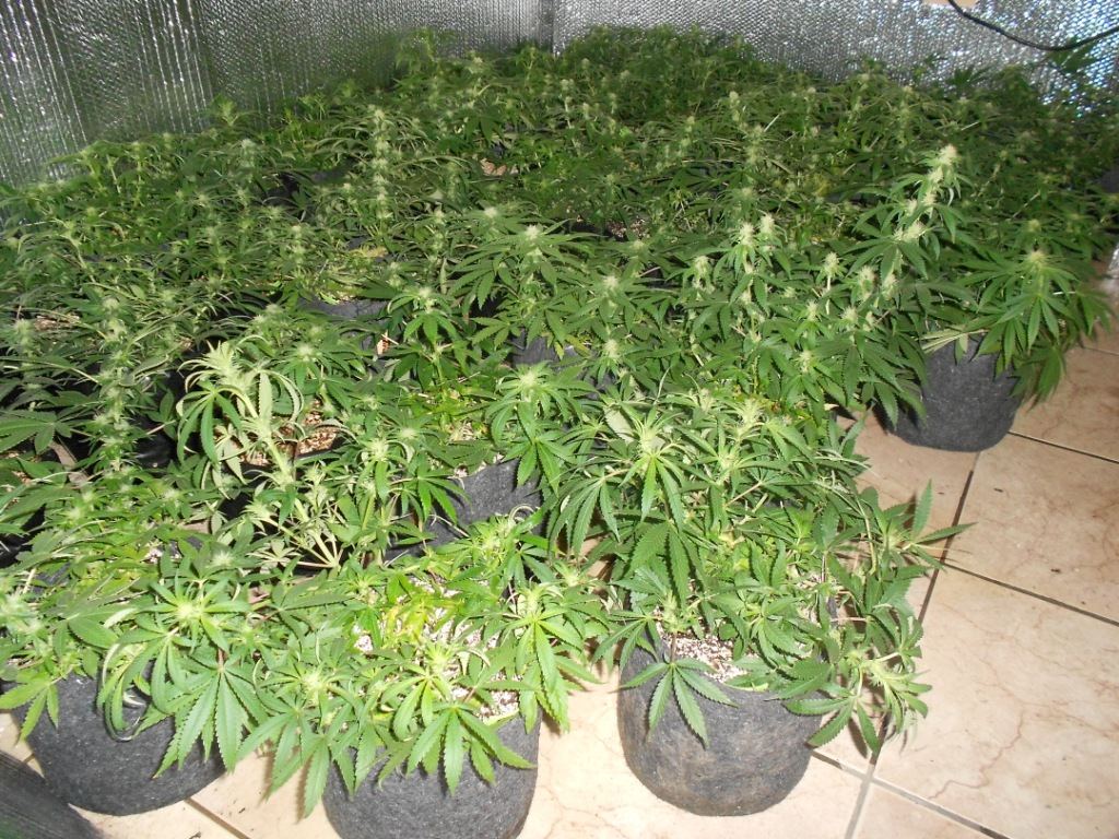 Room Shot1   23 days