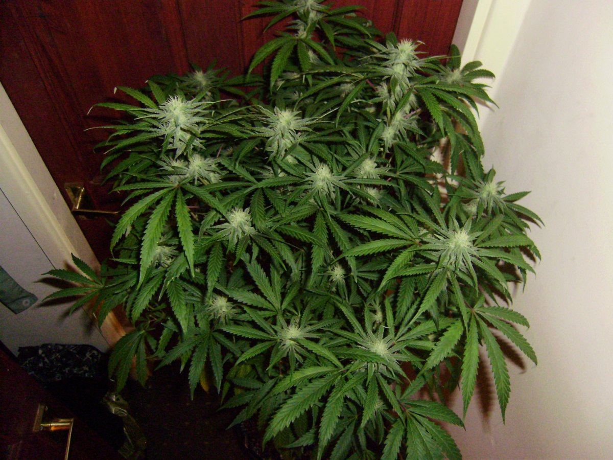 Room shots 005