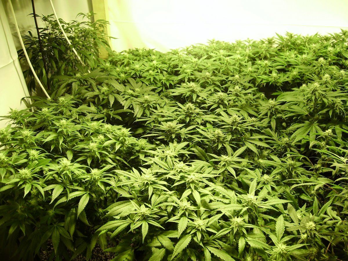 Room shots 020