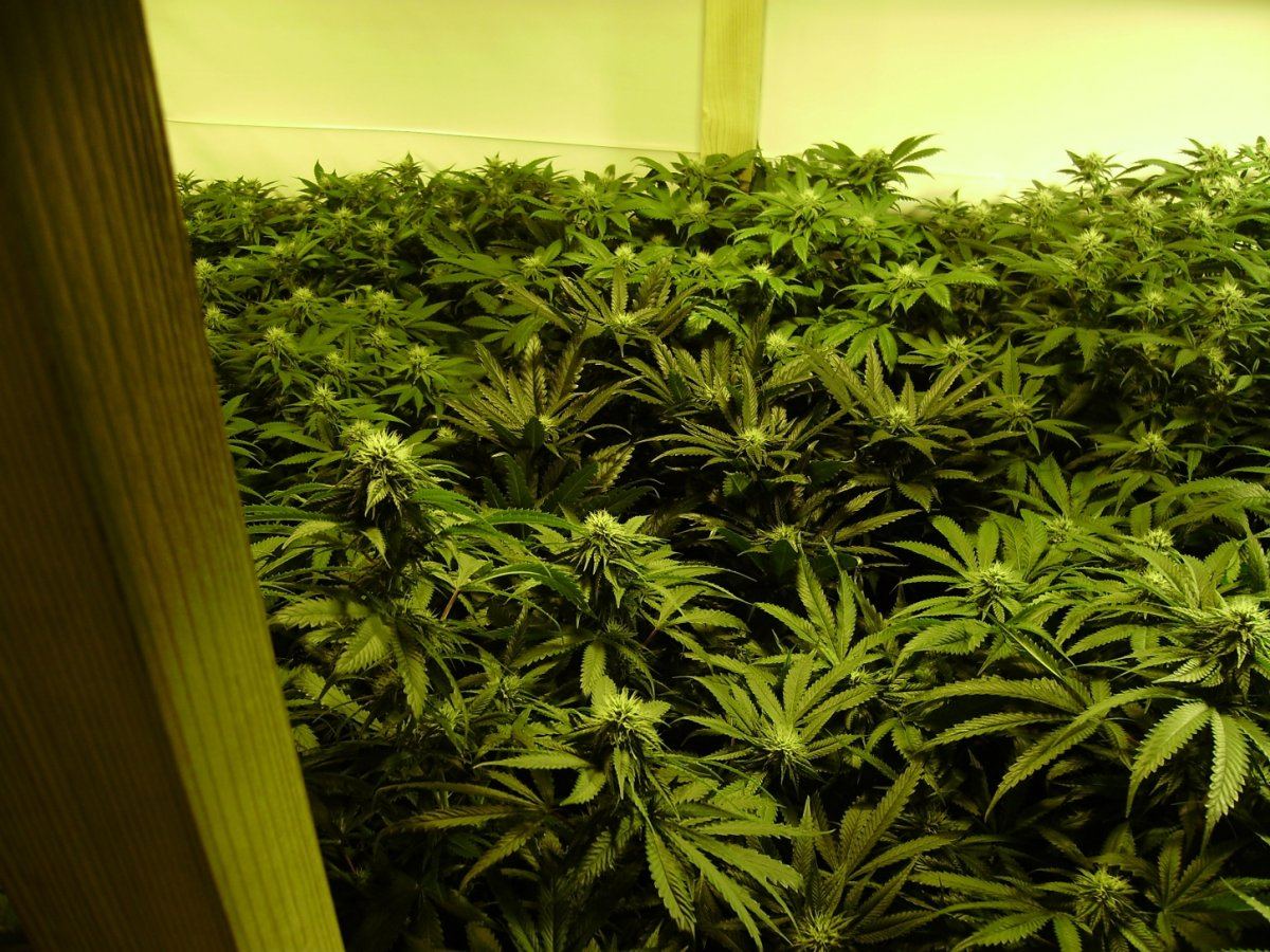 Room shots 021