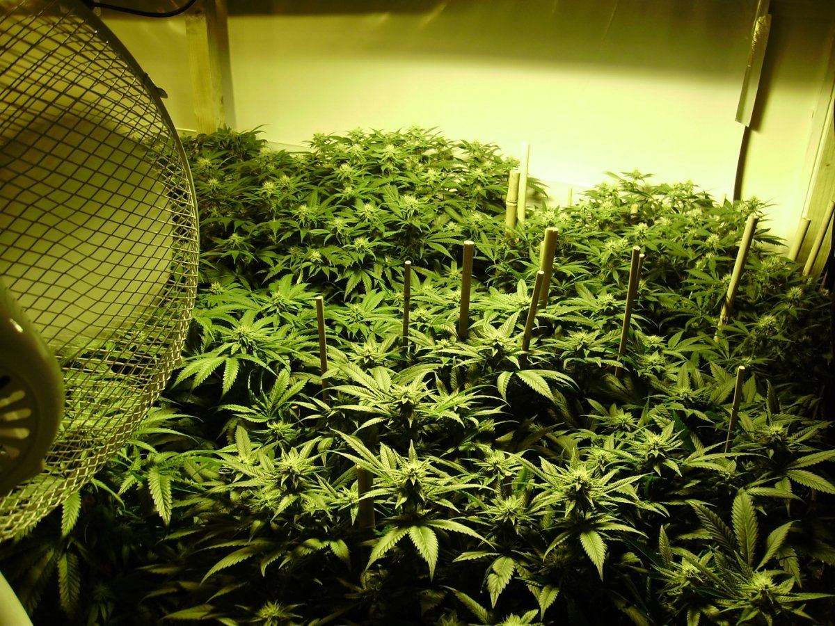 Room shots 022