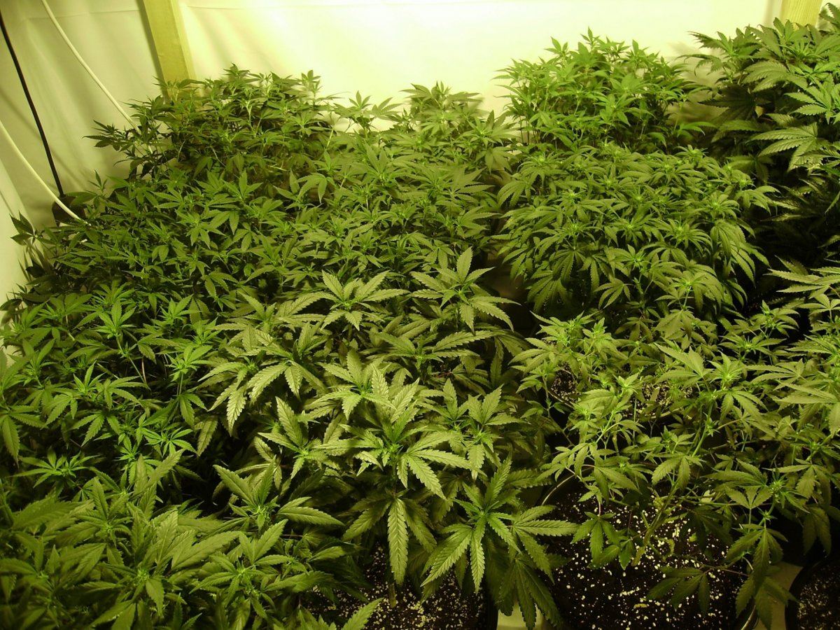 Room shots 024