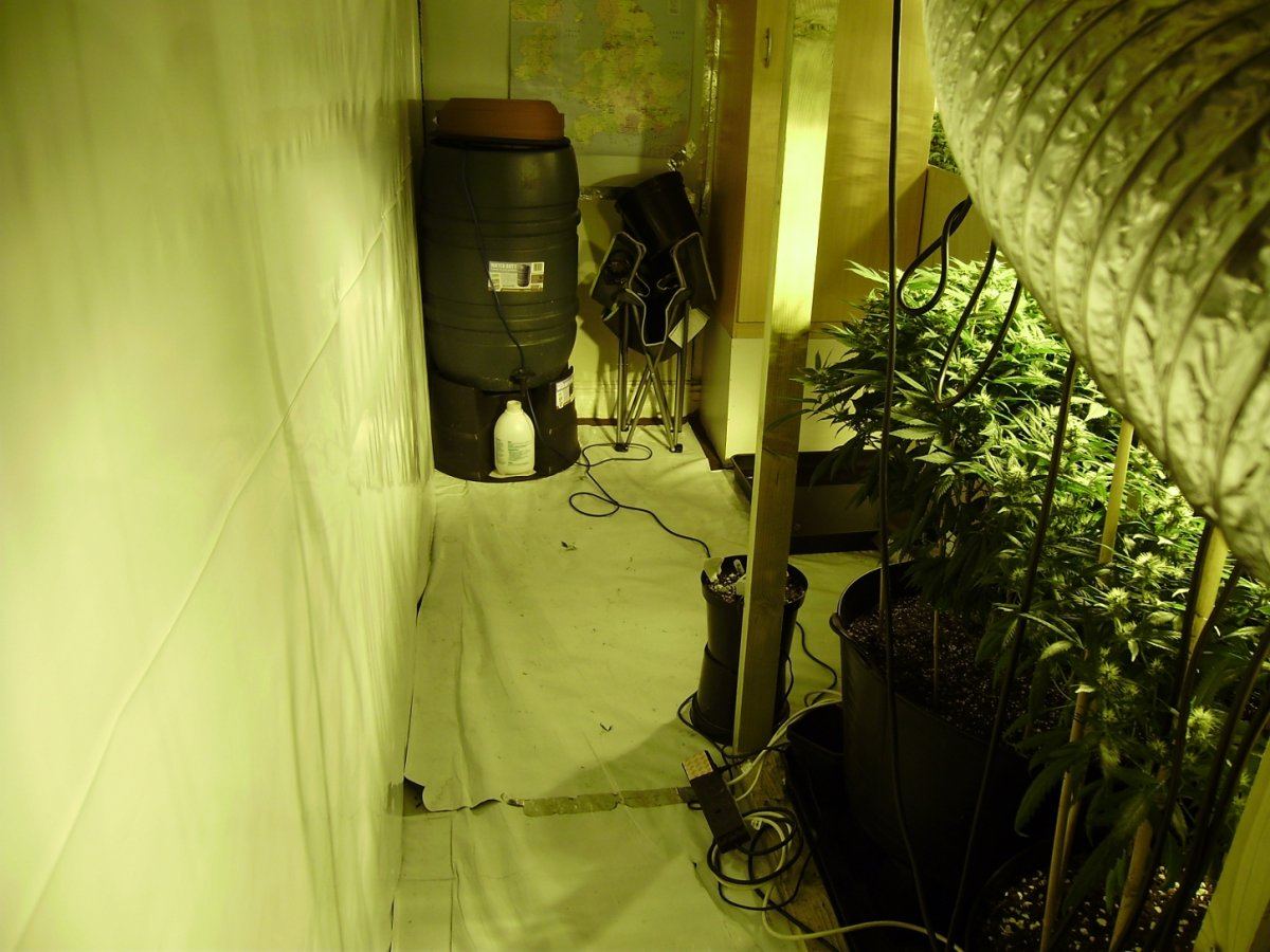 Room shots 024