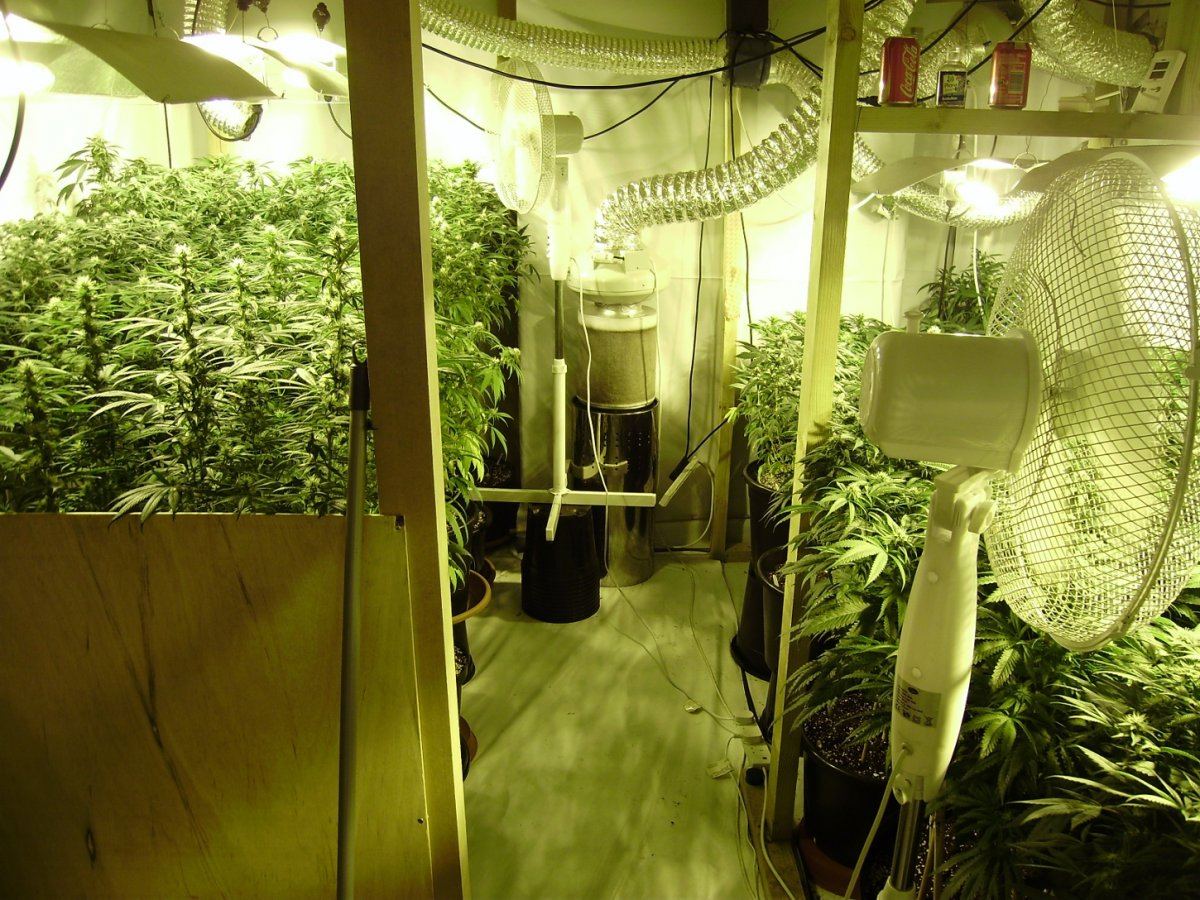 Room shots 025