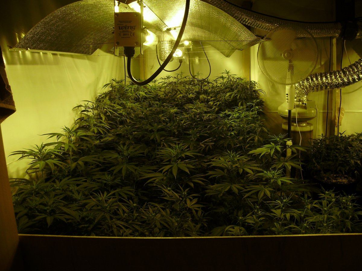 Room shots 026
