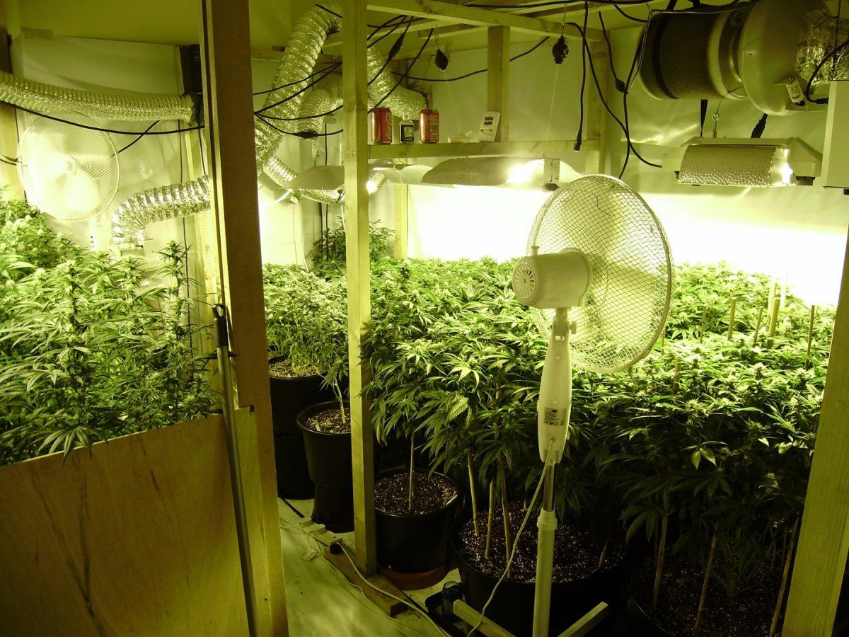 Room shots 026