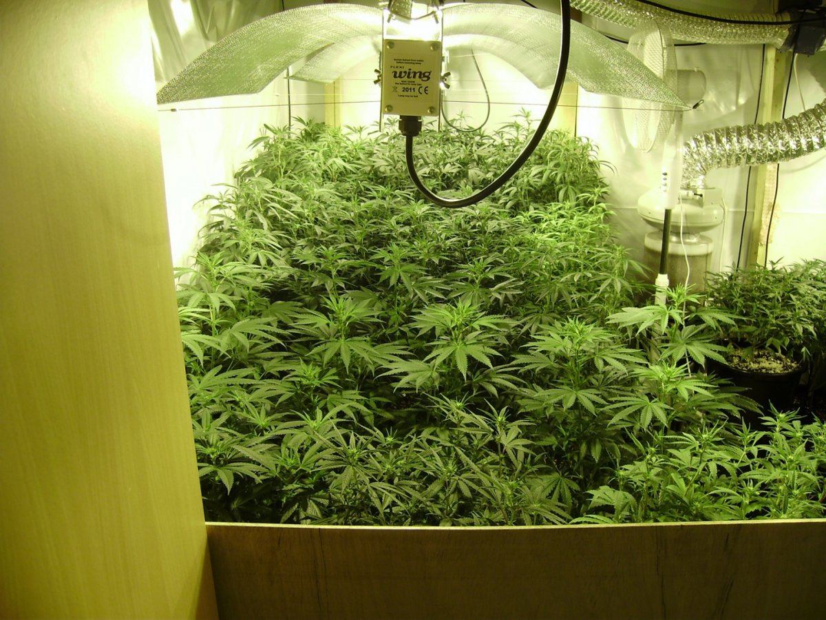 Room shots 027