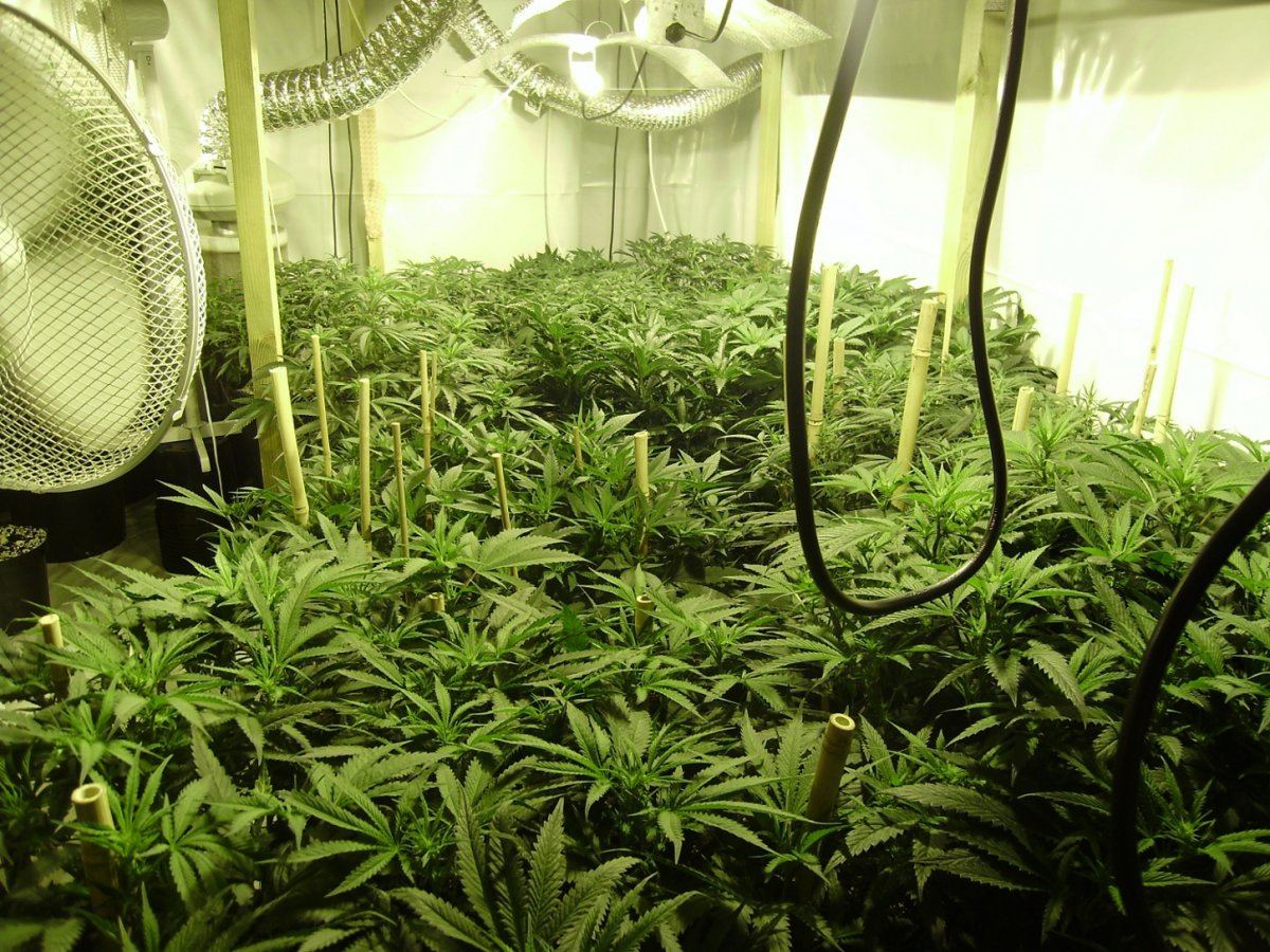 Room shots 029