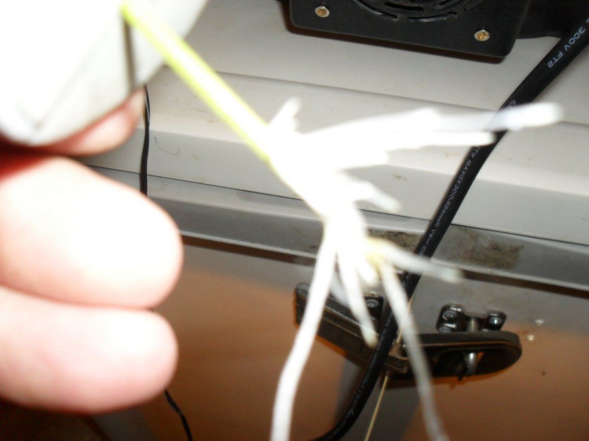 Roots in 7