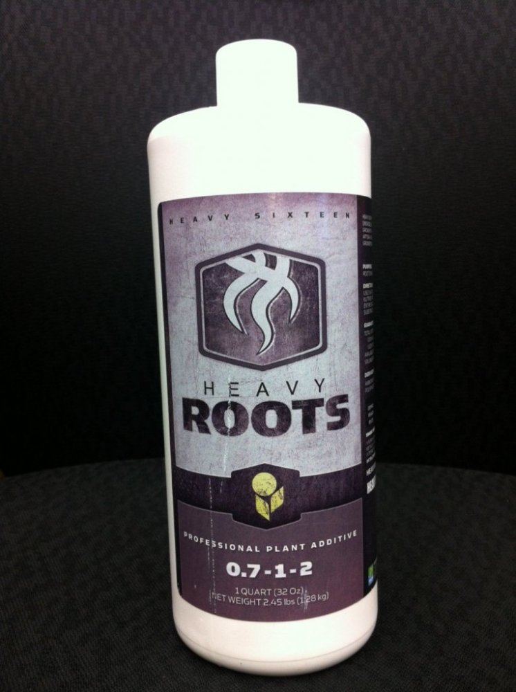 Roots