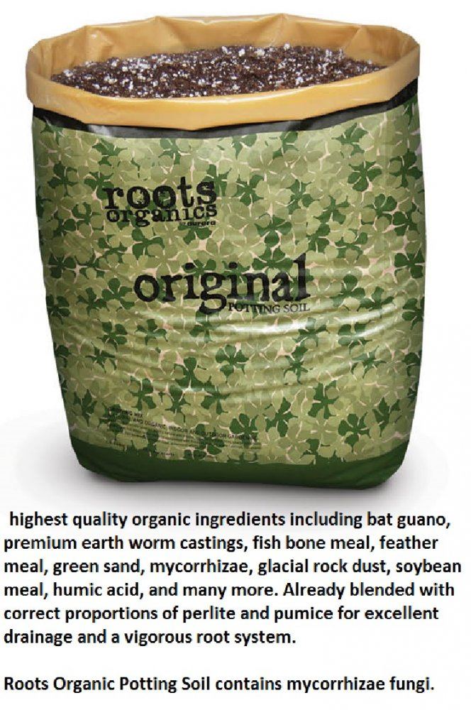 Roots organic soil