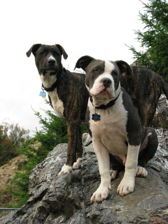 Roxy n hurley