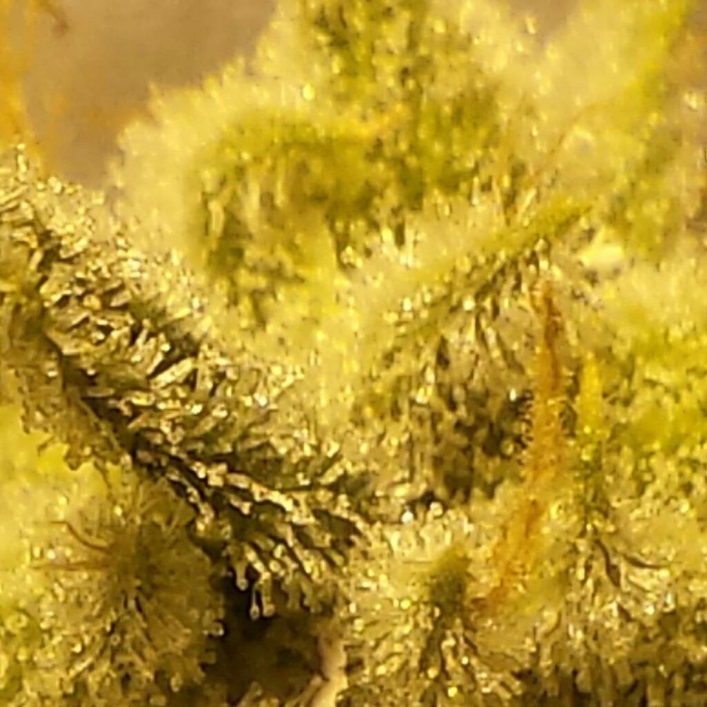 Rps20131011 141820 280