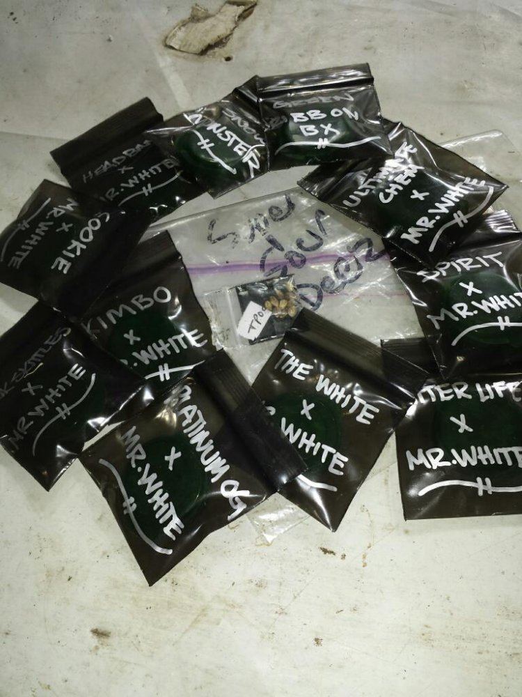Rps20140522 121129 653