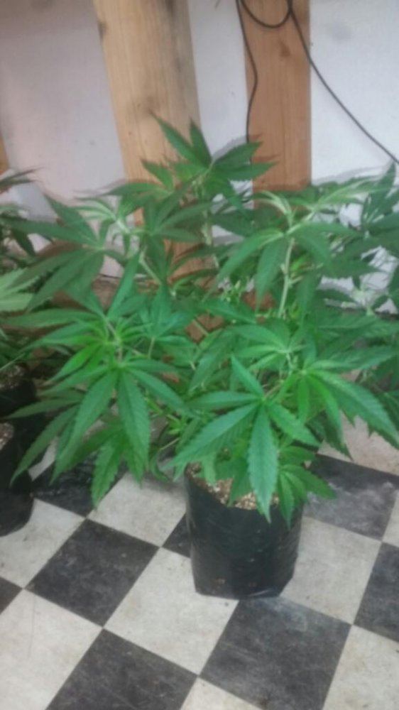 Rps20150106 210937