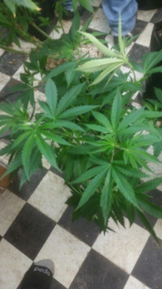 Rps20150106 211425 905