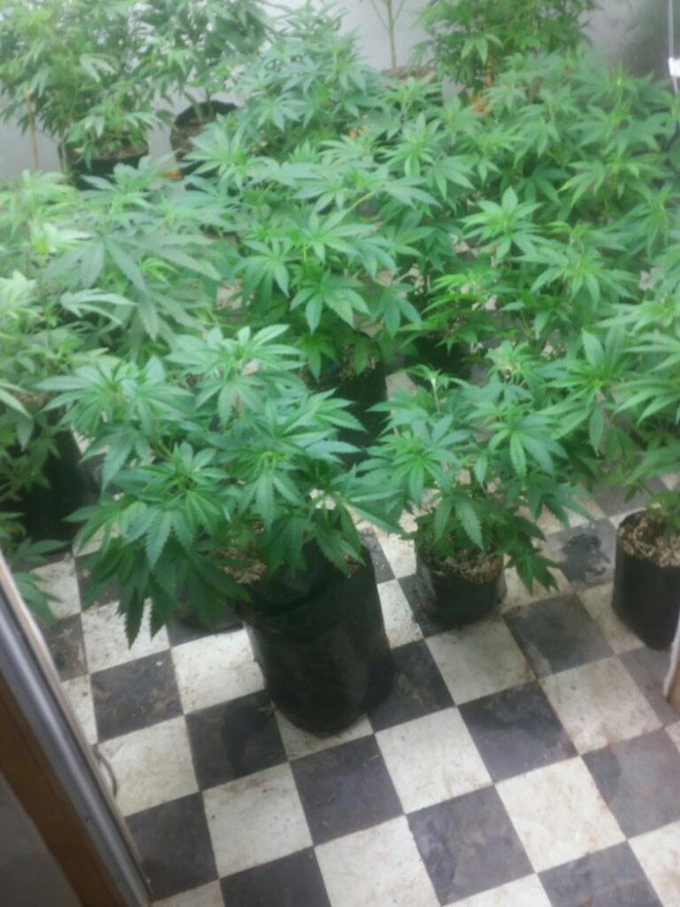 Rps20150108 220254 737