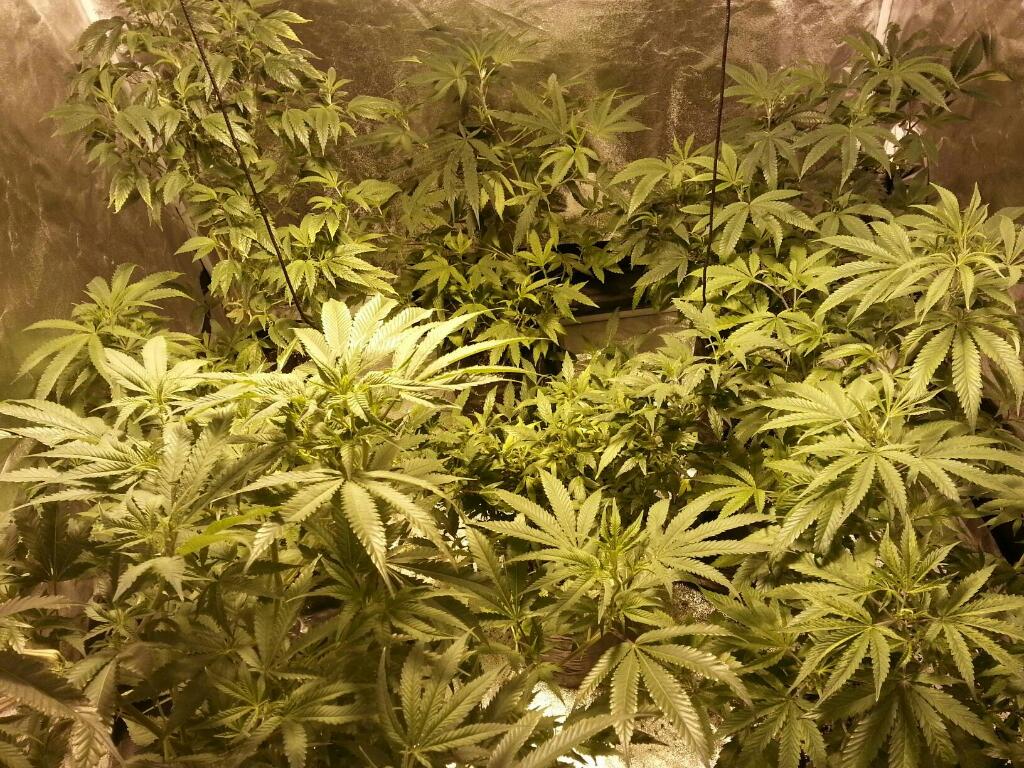 Rps20150119 214324 273