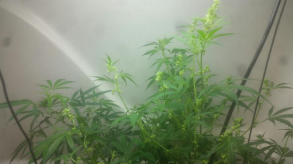 Rps20150217 113111 653