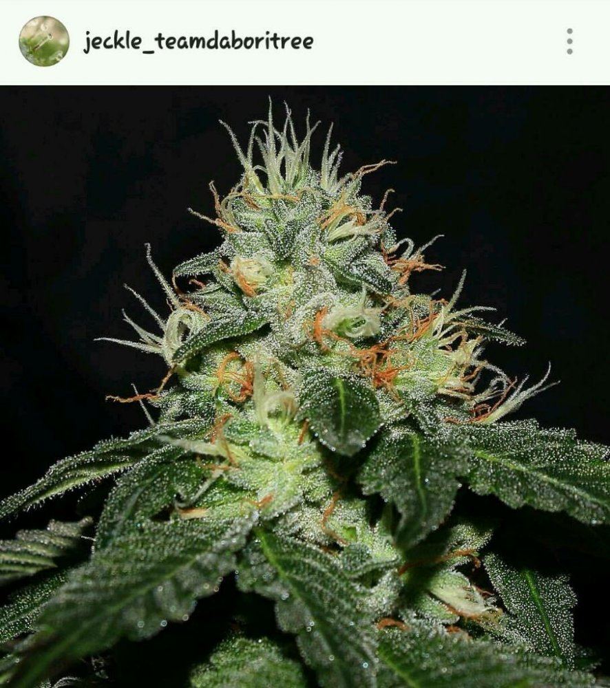 Rps20160622 115000 996