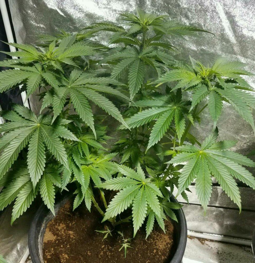 Rps20170117 143614 449