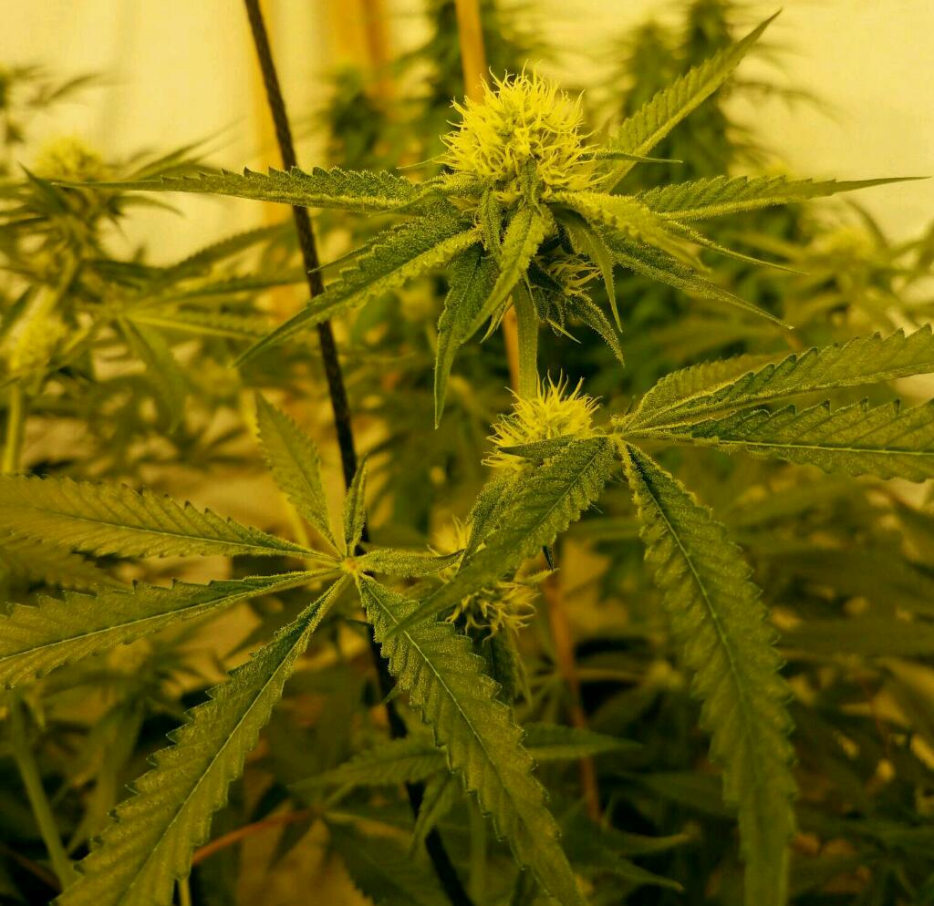 Rps20170209 165725 138