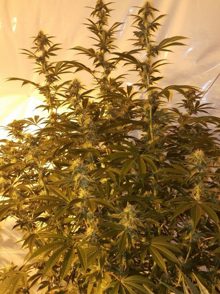 Rps20170214 140330 830