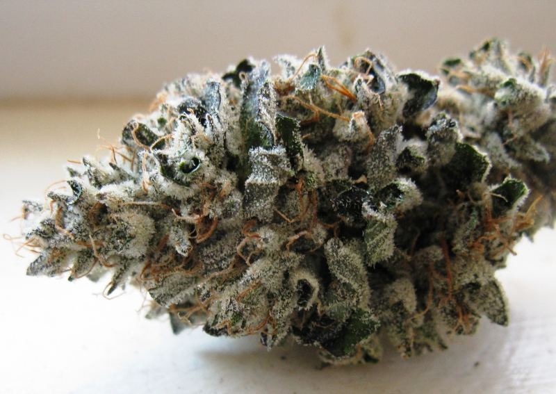 Rr nugz  em jack 005