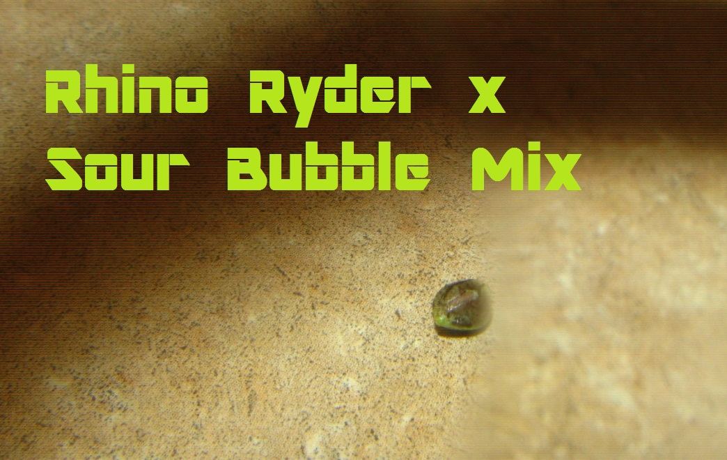 RR x S Bubble