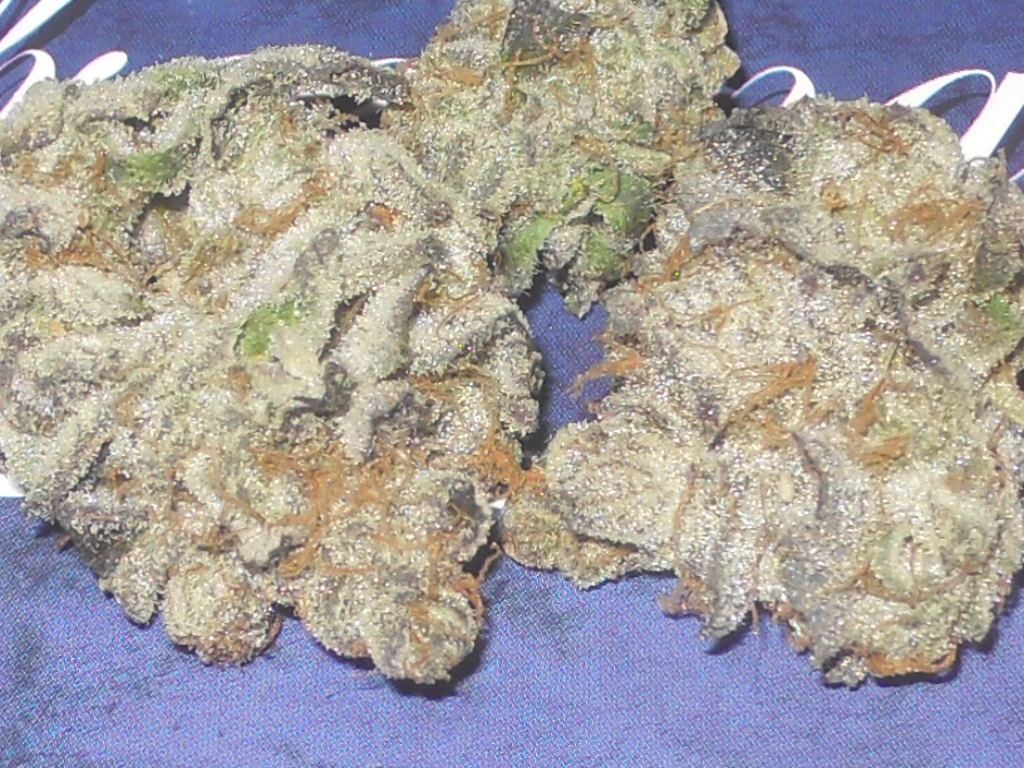 RSCN0738