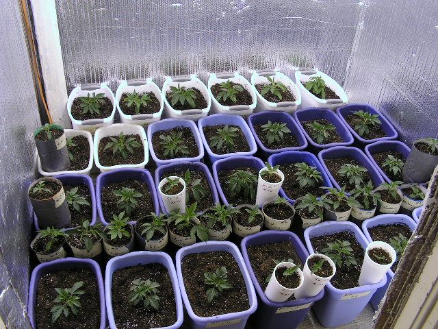 S full room