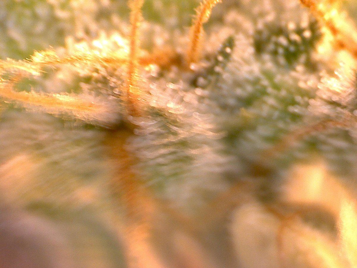 S20160513 0018