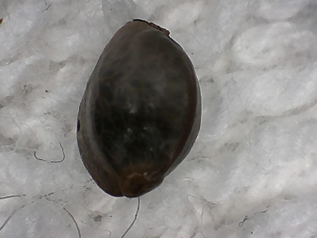 S20170221 0001